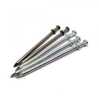 Duplex nail