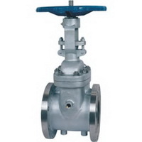Insulation jacket wedge gate valve